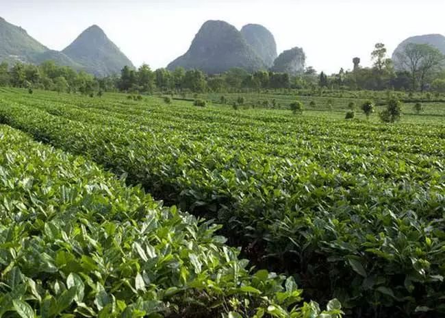 富硒产品属于保健食品吗（保健食品属于富硒产品吗）-硒宝网