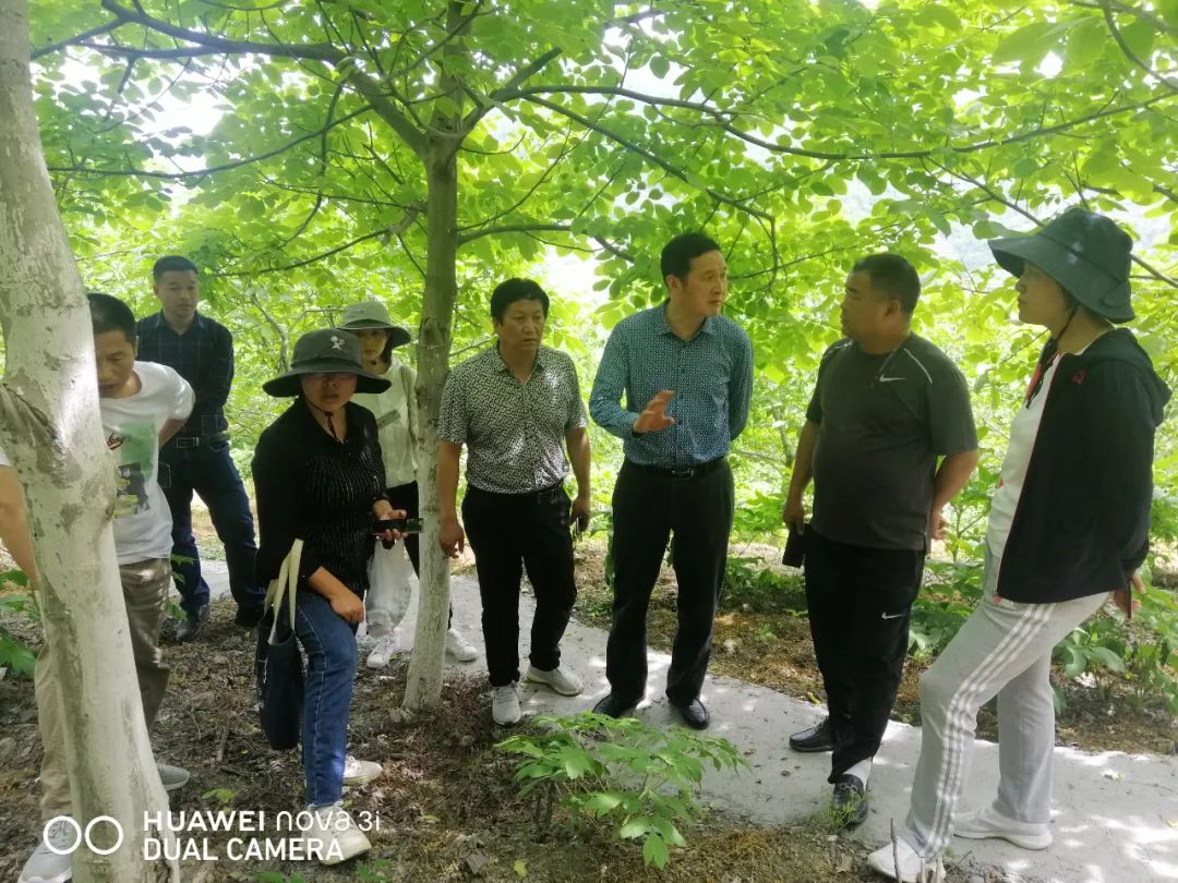 陕西安康白河有富硒产品（安康富硒水生产厂家）-硒宝网