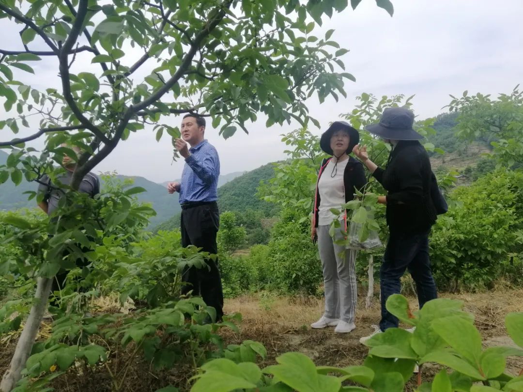 陕西安康白河有富硒产品（安康富硒水生产厂家）-硒宝网