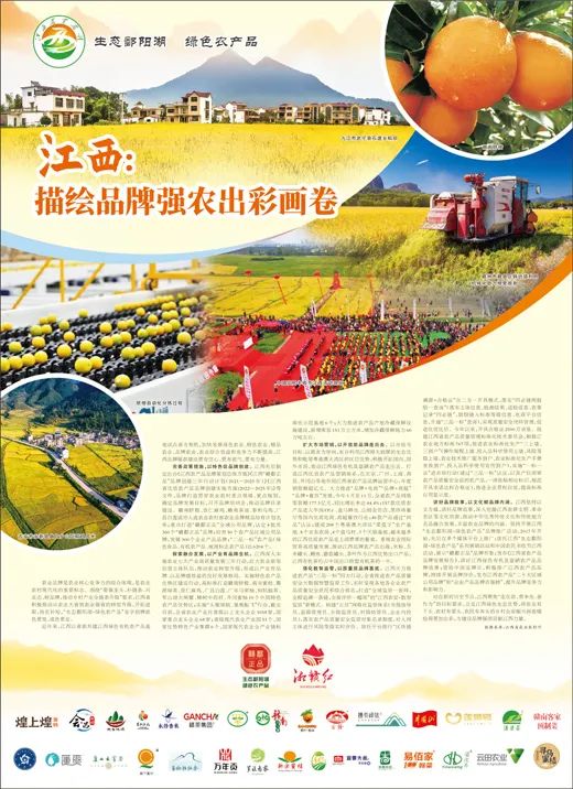 公司富硒农产品营销方案（恩施富硒产品营销方案）-硒宝网