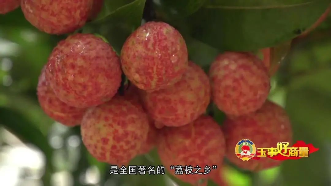 介绍富硒产品的视频短片(富硒对人体有什么好处视频)-硒宝网