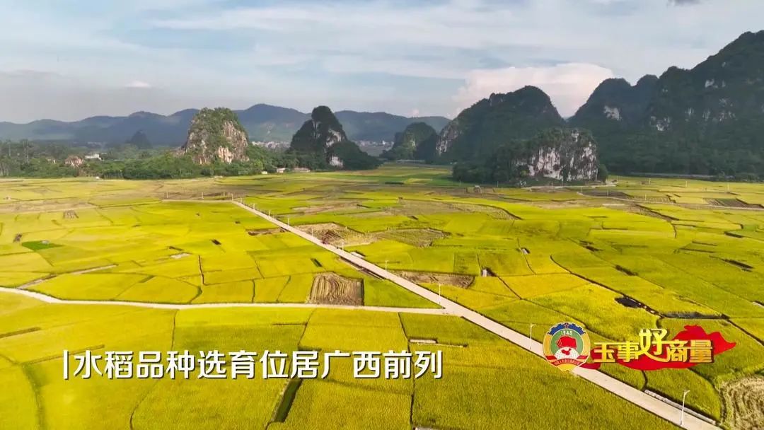 介绍富硒产品的视频短片(富硒对人体有什么好处视频)-硒宝网