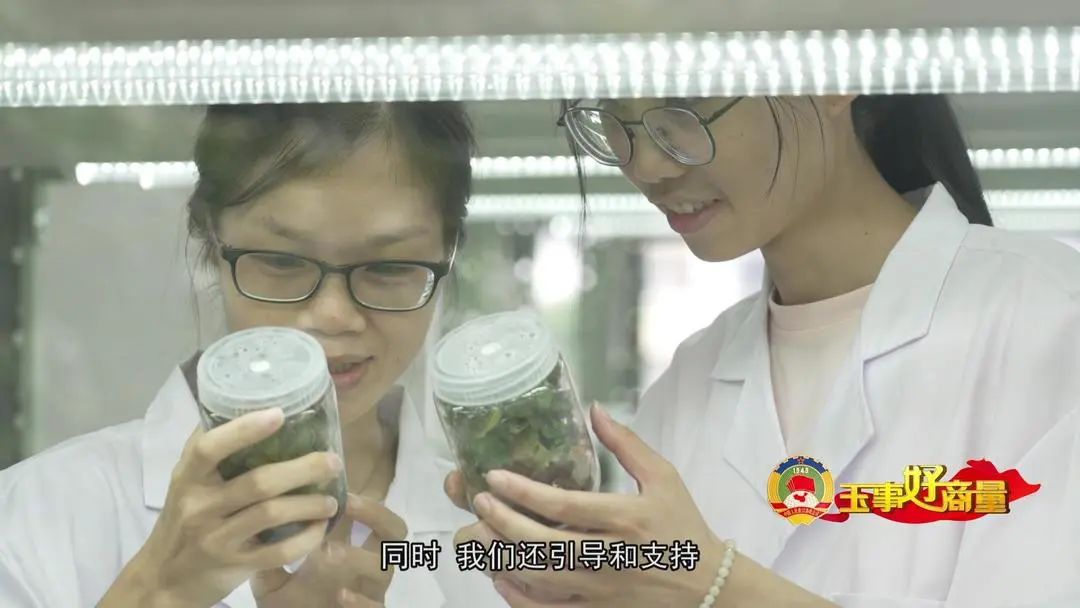 介绍富硒产品的视频短片(富硒对人体有什么好处视频)-硒宝网