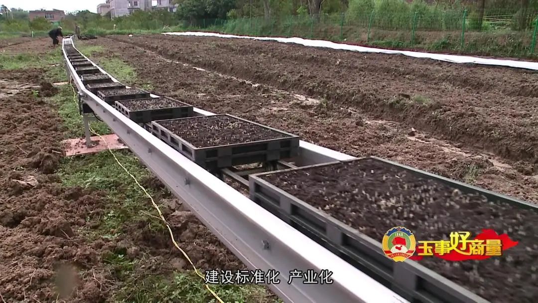 介绍富硒产品的视频短片(富硒对人体有什么好处视频)-硒宝网