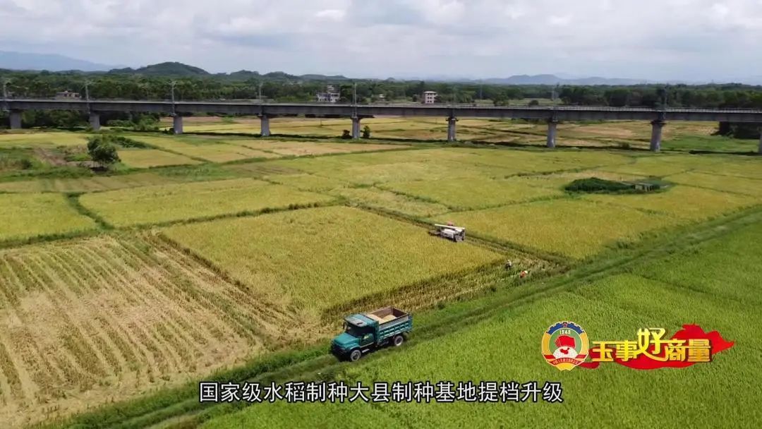 介绍富硒产品的视频短片(富硒对人体有什么好处视频)-硒宝网