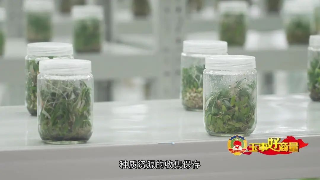 介绍富硒产品的视频短片(富硒对人体有什么好处视频)-硒宝网