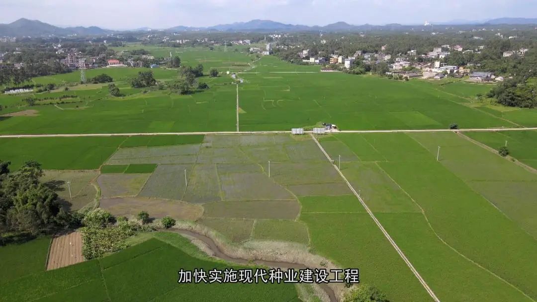 介绍富硒产品的视频短片(富硒对人体有什么好处视频)-硒宝网