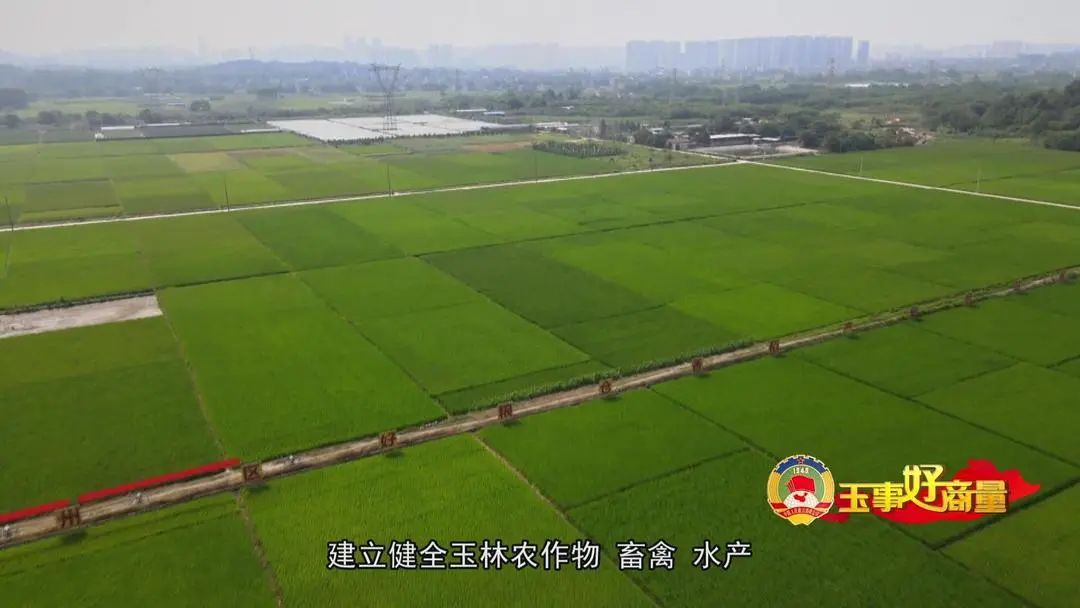 介绍富硒产品的视频短片(富硒对人体有什么好处视频)-硒宝网