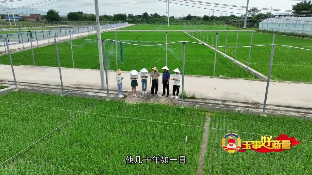 介绍富硒产品的视频短片(富硒对人体有什么好处视频)-硒宝网