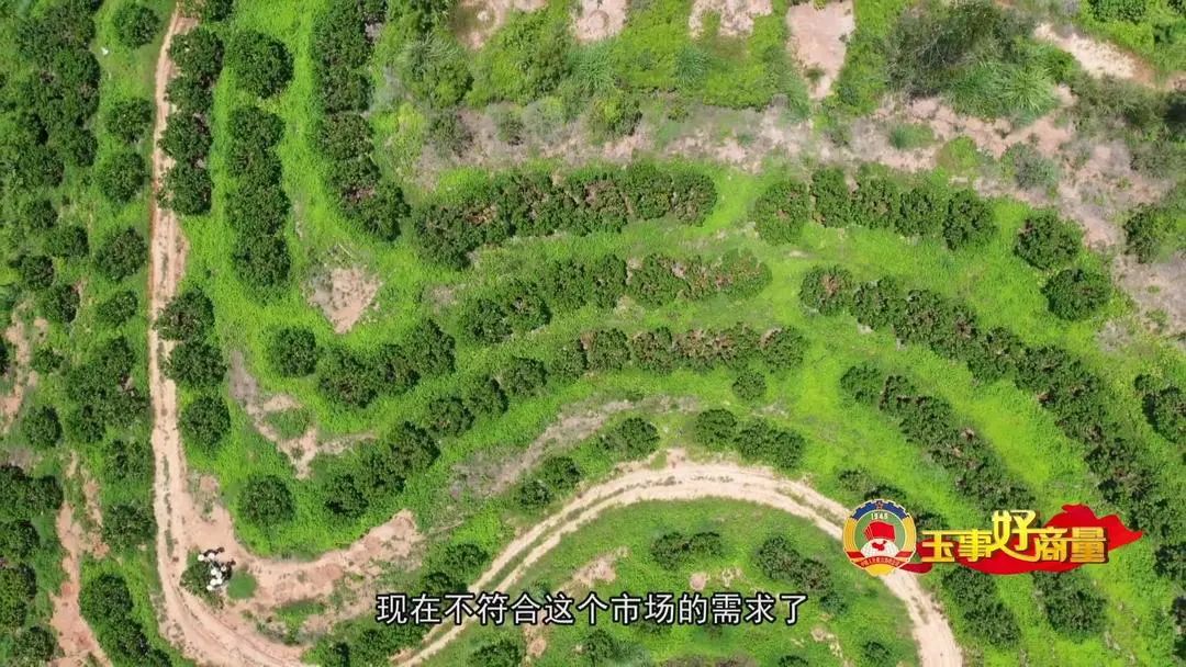 介绍富硒产品的视频短片(富硒对人体有什么好处视频)-硒宝网