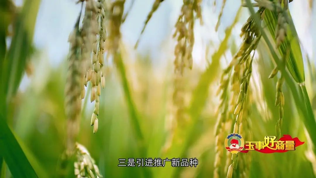 介绍富硒产品的视频短片(富硒对人体有什么好处视频)-硒宝网