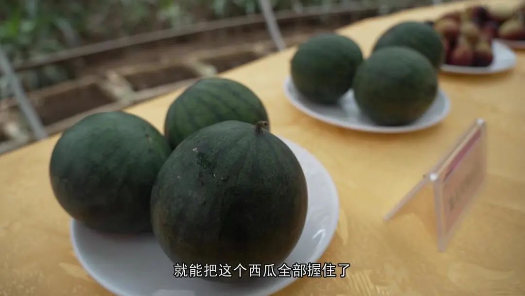 介绍富硒产品的视频短片(富硒对人体有什么好处视频)-硒宝网