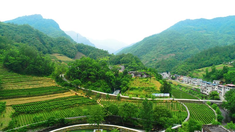 陕西安康白河有富硒产品（安康市富硒产品有哪些）-硒宝网