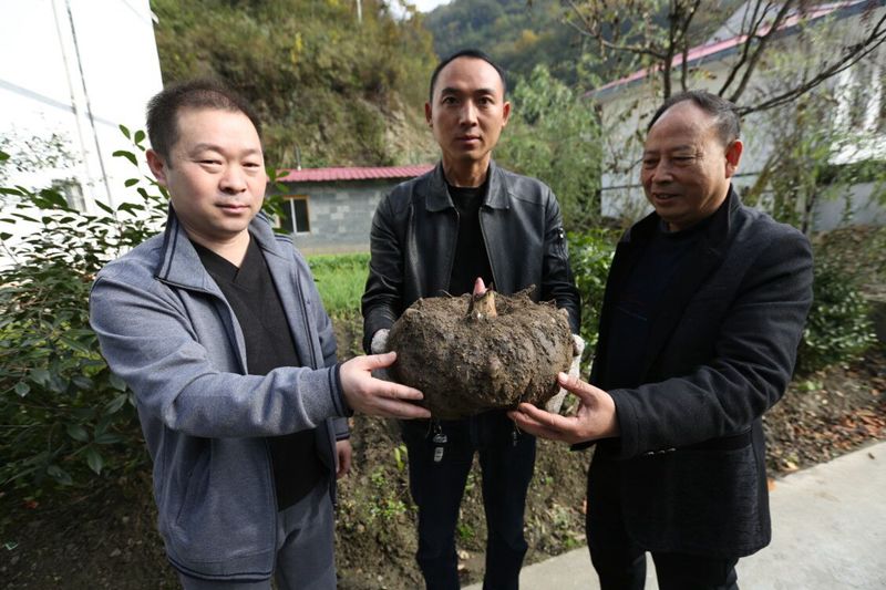 陕西安康白河有富硒产品（安康市富硒产品有哪些）-硒宝网