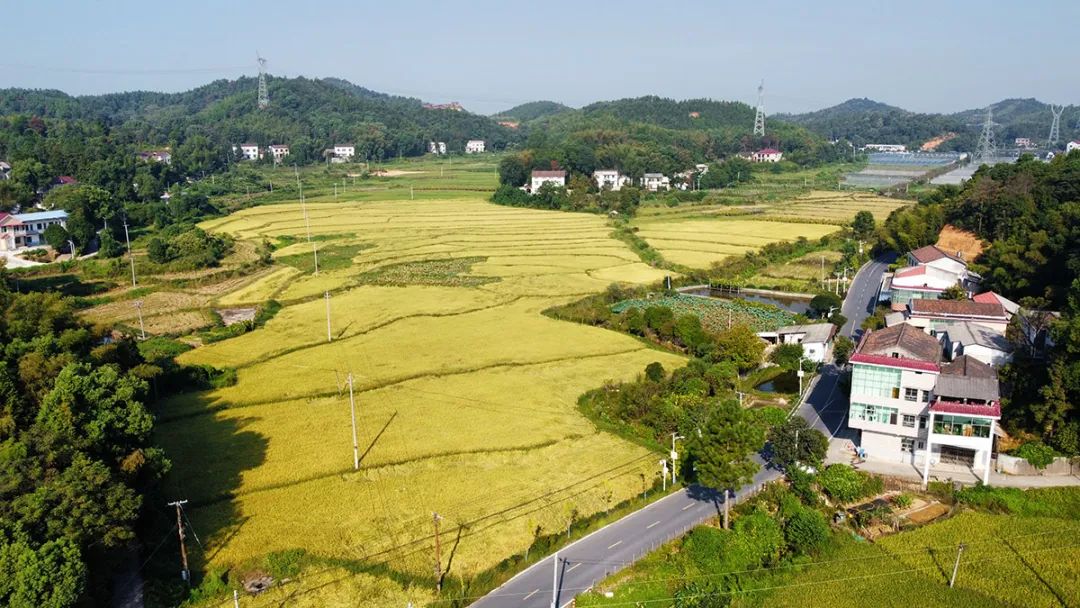 上市公司富硒产品有哪些(富硒产品厂家)-硒宝网