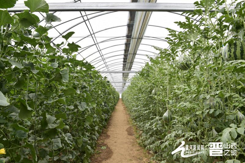 太原富硒认证有机农产品(恩施富硒产品)-硒宝网