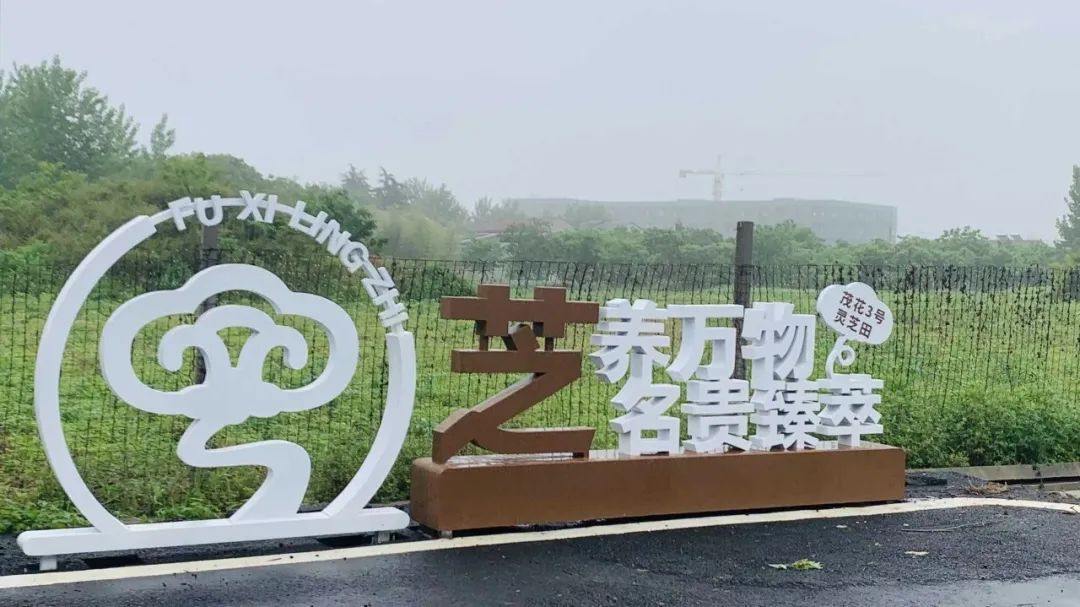 富硒酵素农产品怎么生产(农用酵素骗局)-硒宝网