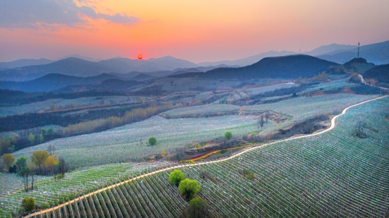 新乡富硒认证有机农产品（富硒农产品认证过程）-硒宝网