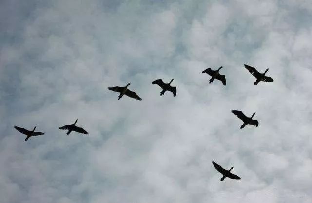 富硒冻干食品有哪些产品(食品富硒冻干产品有哪些品牌)-硒宝网