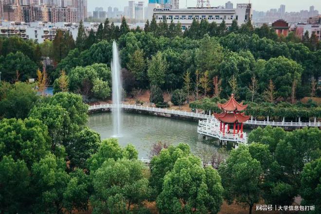 和富硒有关的产品有哪些(富硒的产品)-硒宝网