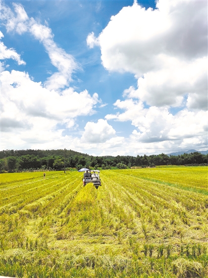 富硒农产品各地最优品牌(各地农优富硒品牌产品介绍)-硒宝网