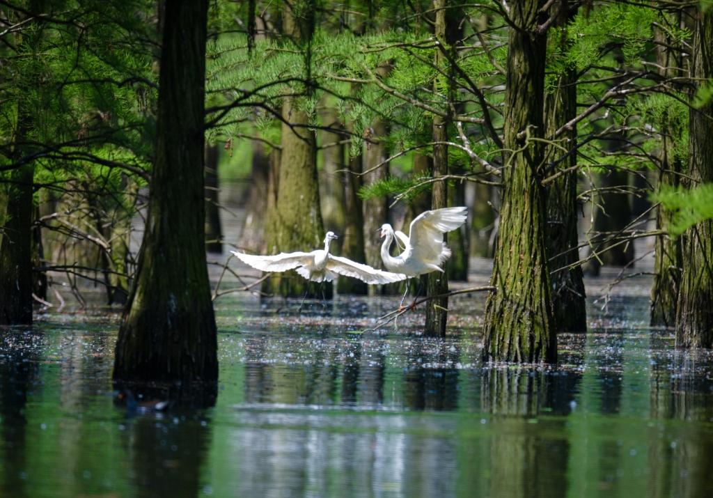 安徽池州富硒农产品基地（安徽池州富硒村）-硒宝网