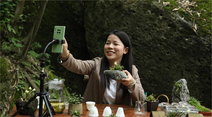 安徽池州富硒农产品基地（安徽池州富硒村）-硒宝网