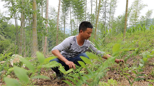 安徽池州富硒农产品基地（安徽池州富硒村）-硒宝网