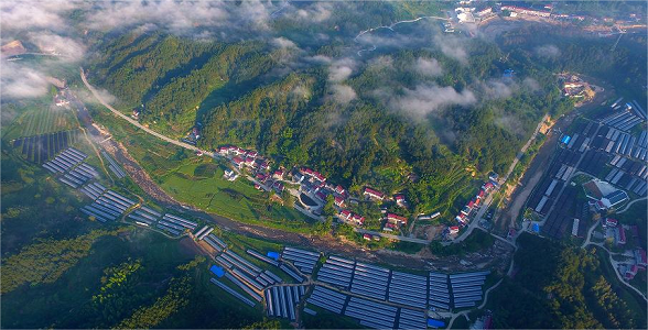 安徽池州富硒农产品基地（安徽池州富硒村）-硒宝网