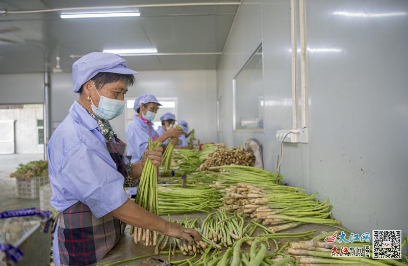 富硒产品是怎样种出来的（富硒产品是怎么种出来的）-硒宝网