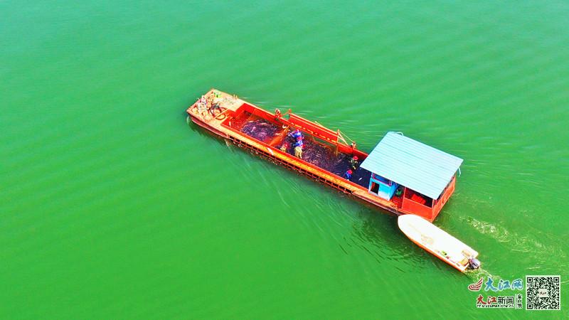 富硒产品是怎样种出来的（富硒产品是怎么种出来的）-硒宝网