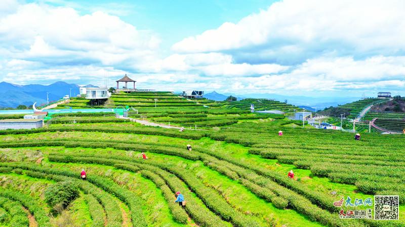 富硒产品是怎样种出来的（富硒产品是怎么种出来的）-硒宝网