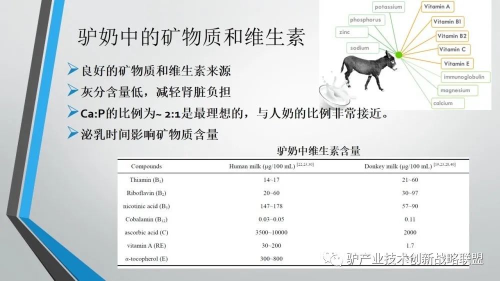 富硒冻干食品有哪些产品（食品富硒冻干产品有哪些）-硒宝网