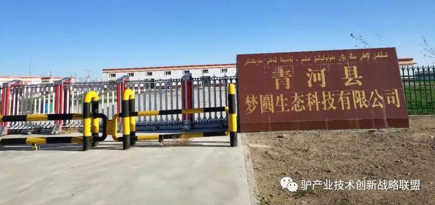 富硒冻干食品有哪些产品（食品富硒冻干产品有哪些）-硒宝网