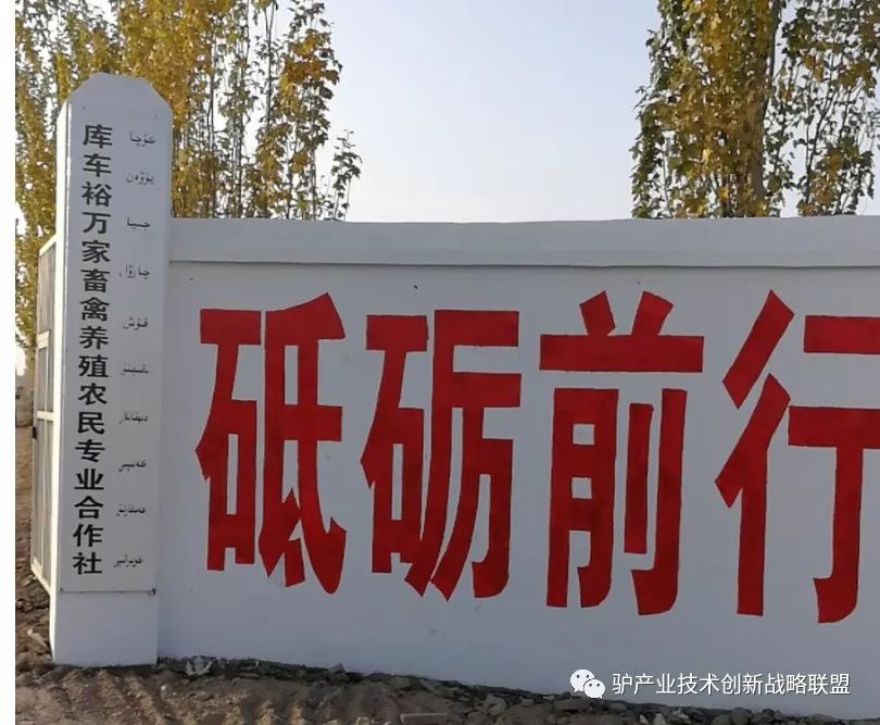 富硒冻干食品有哪些产品（食品富硒冻干产品有哪些）-硒宝网