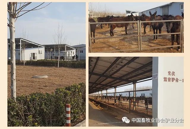 富硒冻干食品有哪些产品（食品富硒冻干产品有哪些）-硒宝网