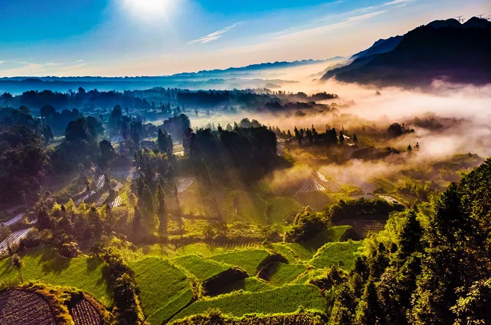 富硒农产品介绍演讲大会(富硒农业)-硒宝网