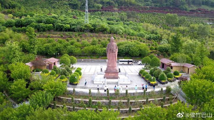 平利富硒毛尖茶产品简介（富硒毛尖功效与作用）-硒宝网