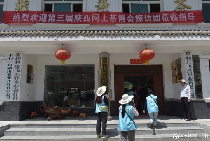 平利富硒毛尖茶产品简介（富硒毛尖功效与作用）-硒宝网