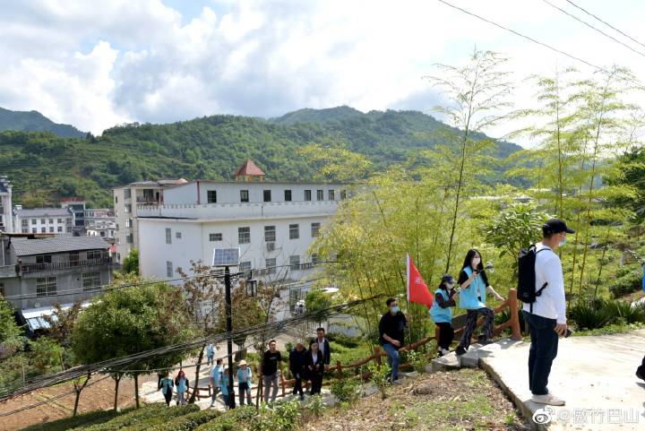 平利富硒毛尖茶产品简介（富硒毛尖功效与作用）-硒宝网