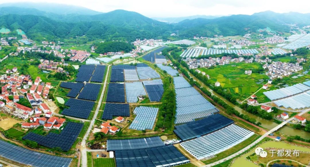 于都县富硒产品特色产业（于都富硒蔬菜基地）-硒宝网