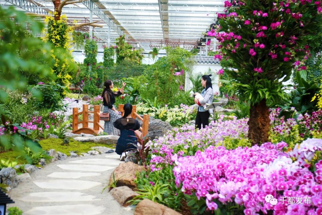 于都县富硒产品特色产业（于都富硒蔬菜基地）-硒宝网