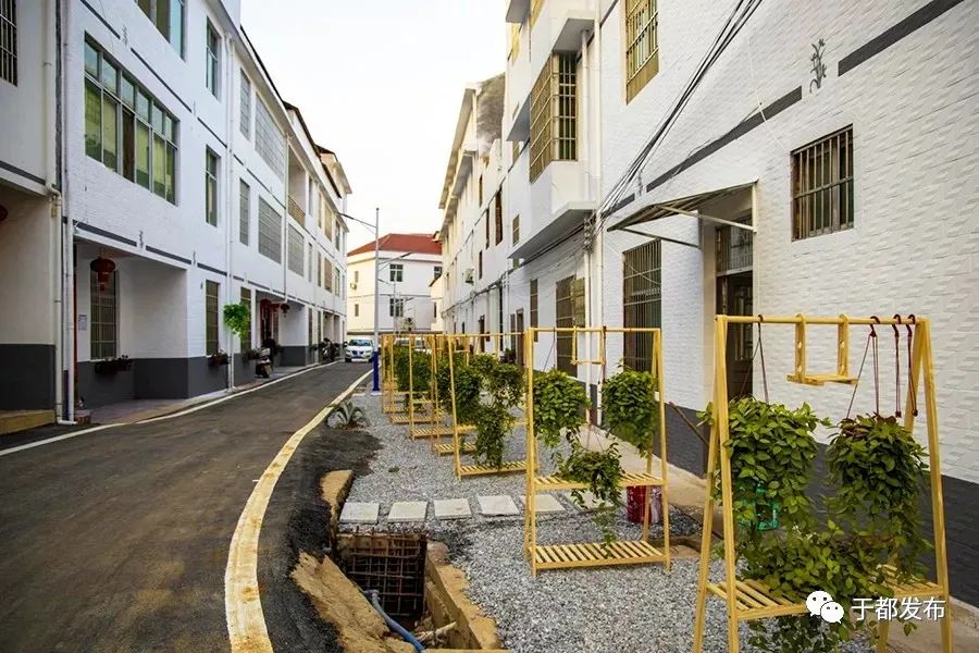 于都县富硒产品特色产业（于都富硒蔬菜基地）-硒宝网