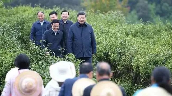 江西赣州富硒农产品认证（江西赣硒农科技有限公司）-硒宝网