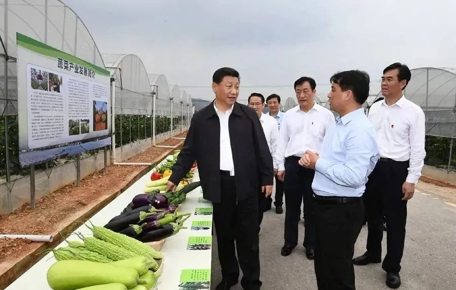 江西赣州富硒农产品认证（江西赣硒农科技有限公司）-硒宝网