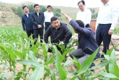 江西赣州富硒农产品认证（江西赣硒农科技有限公司）-硒宝网