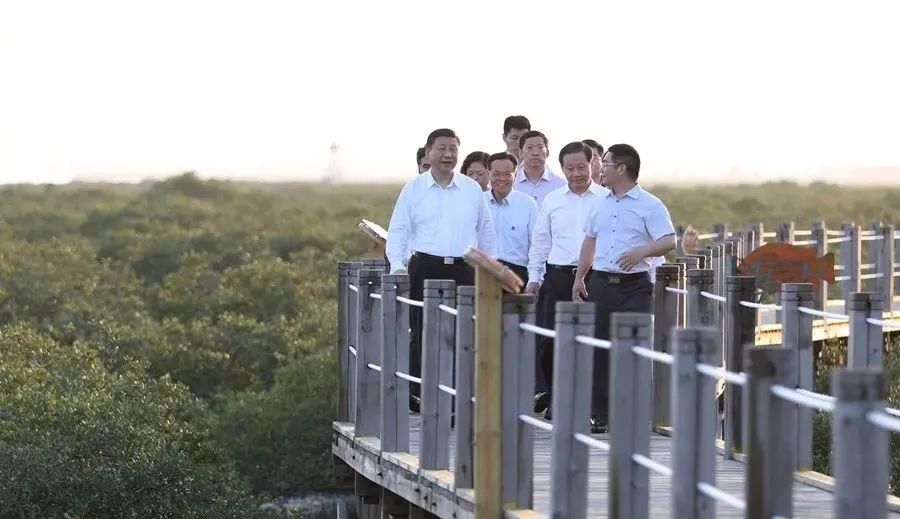 江西赣州富硒农产品认证（江西赣硒农科技有限公司）-硒宝网