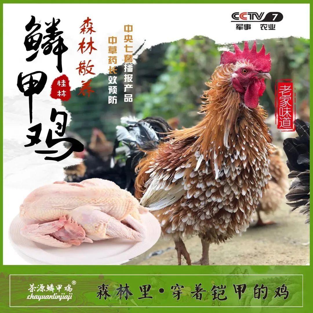 桂林富硒农产品有限公司（广西桂林农产品）-硒宝网