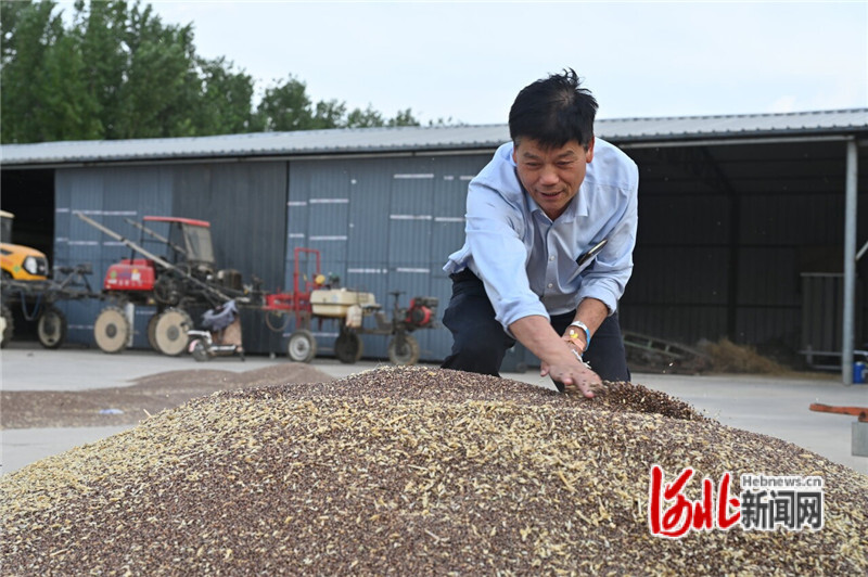 高锌富硒小麦粉产品介绍（锌对小麦的作用与功效）-硒宝网