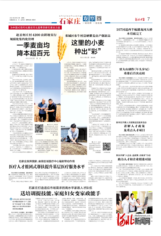 高锌富硒小麦粉产品介绍（锌对小麦的作用与功效）-硒宝网